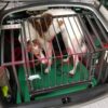 Trasportini auto per cani
